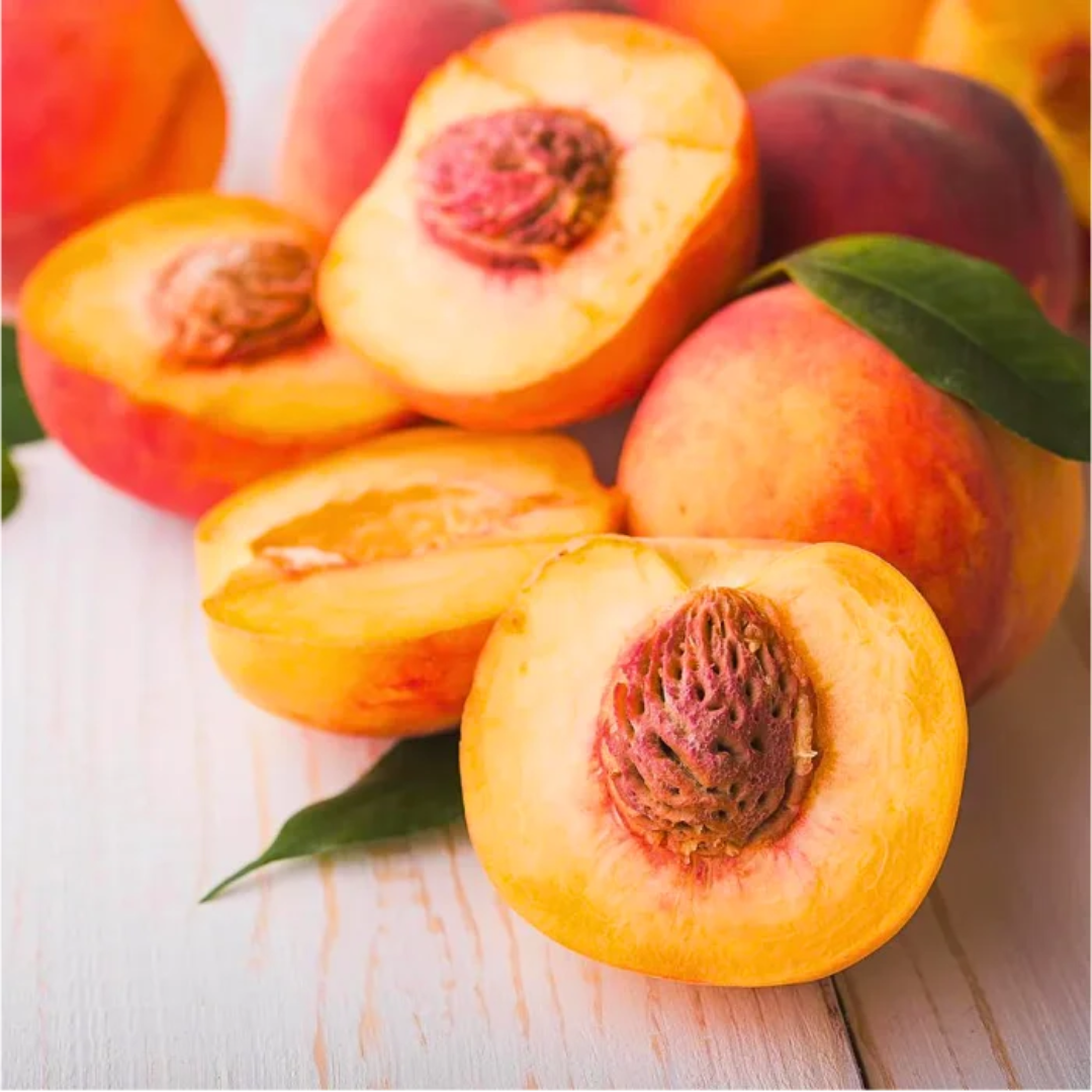 Contender Peach Tree illustration for planting reference