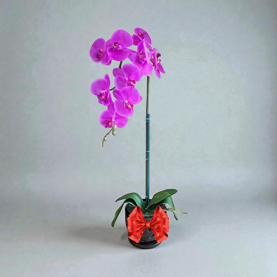 Elegant Purple Orchid in Black Ceramic Pot