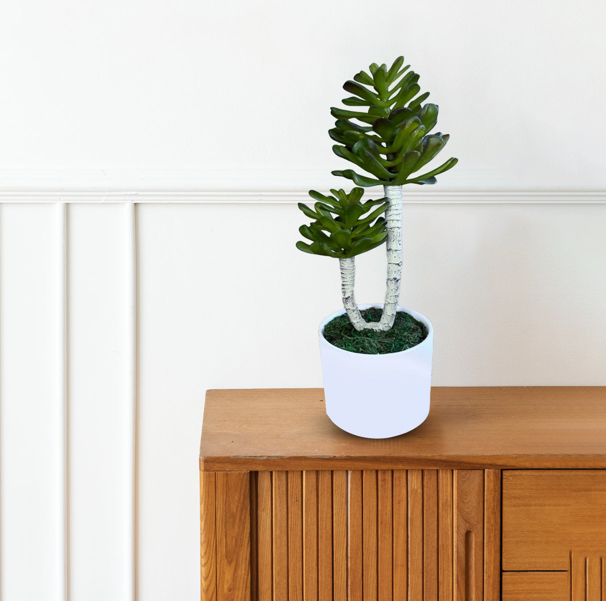 Bonsai in Green Color -Good Gift