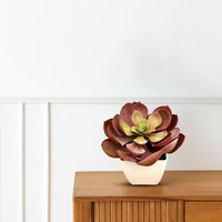 Artificial Stunning Crassulla Red Succulent -Good Gift