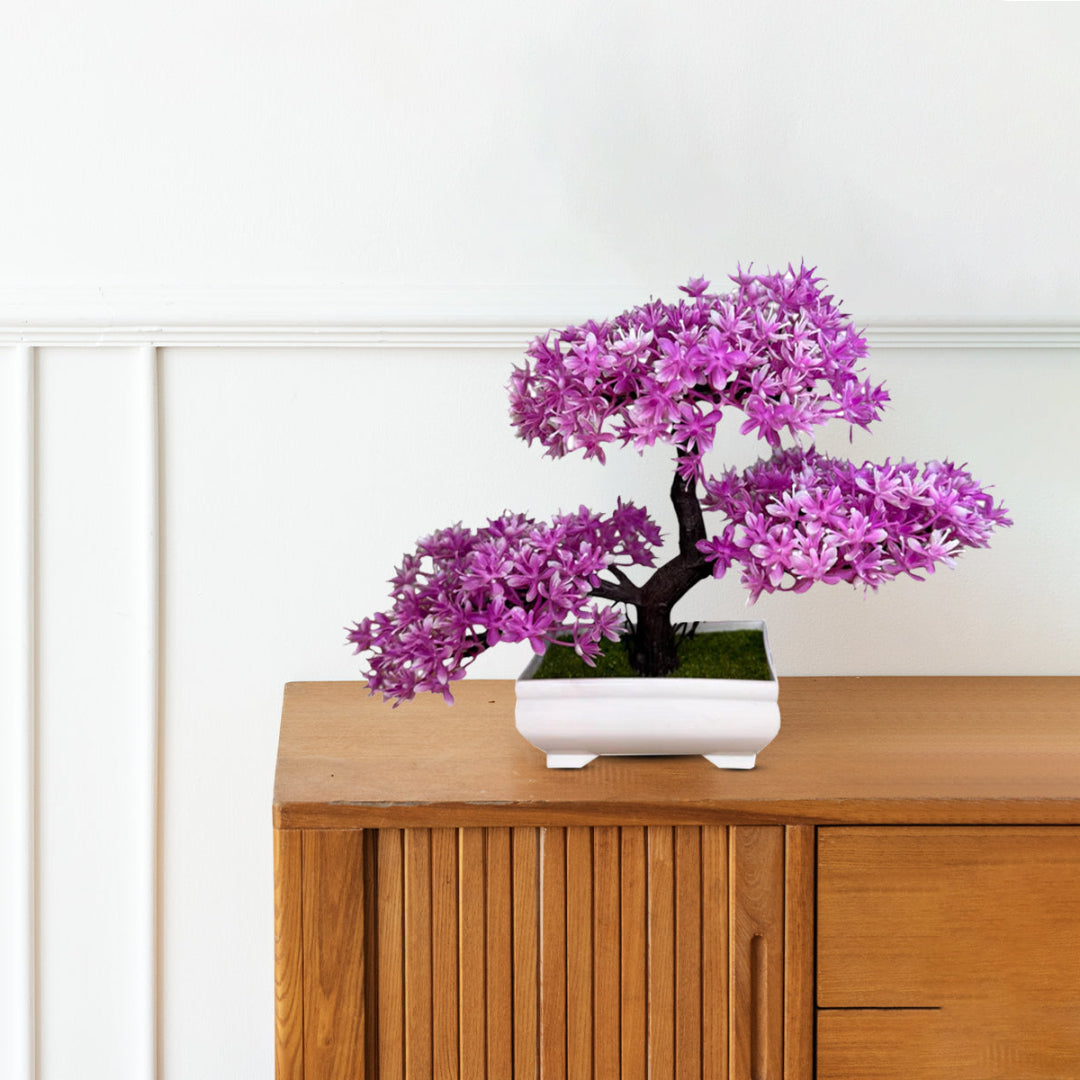 Gorgeous Bonsai with Very Attractive Pot with choice of your color -Good Gift