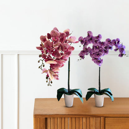 Gorgeous Variegated Orchids with 9 Flowers (Artificial) (The Perfect Christmas Gift)