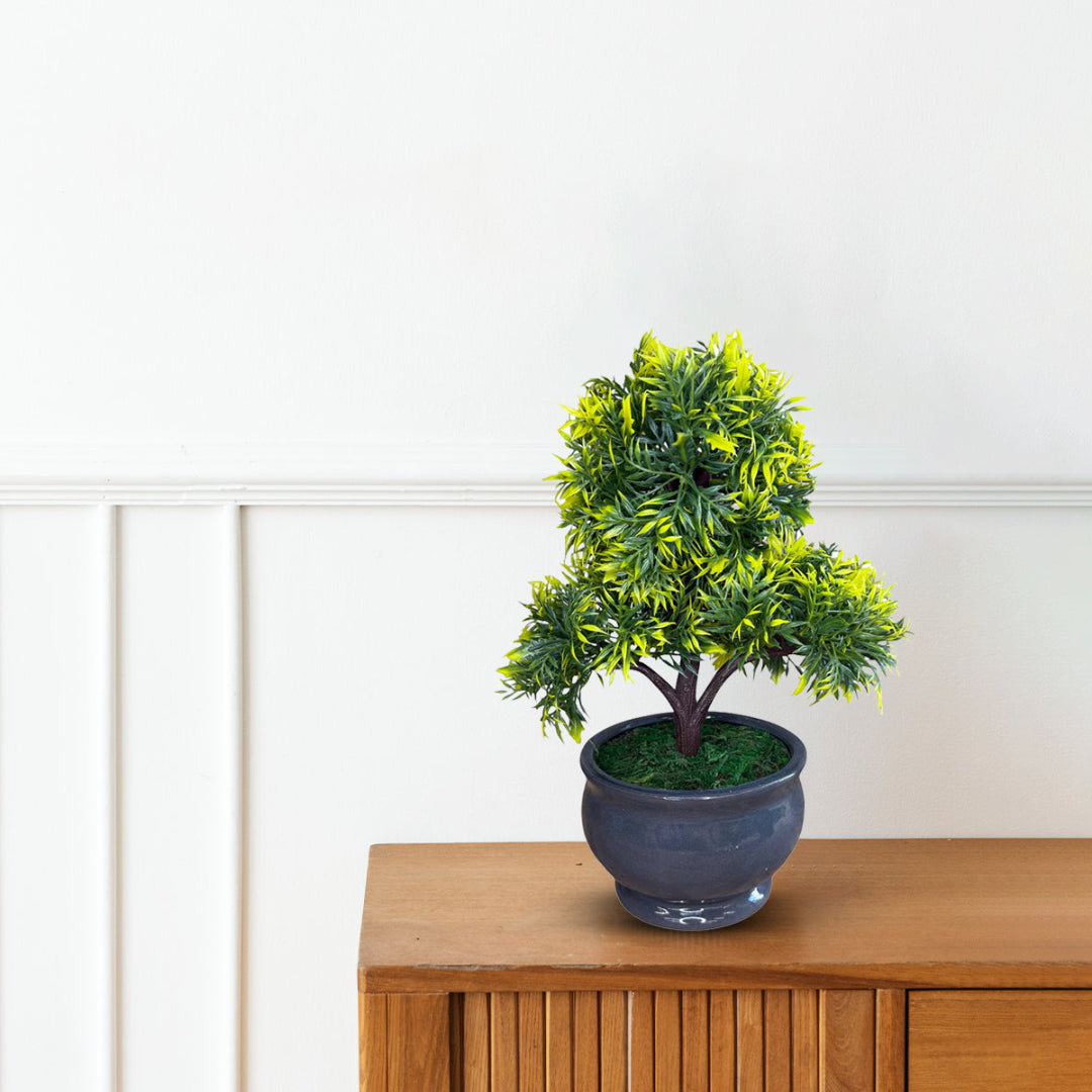 Green and Yellow Bonsai with Pot-Good Gift