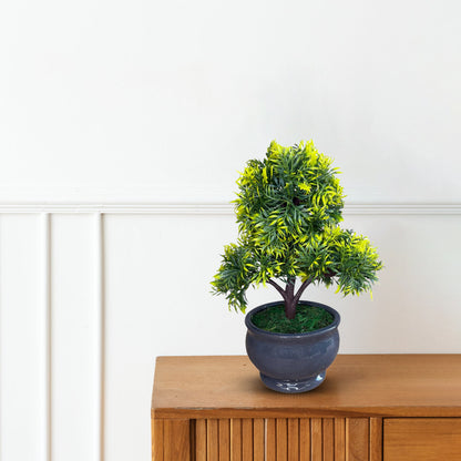 Green and Yellow Bonsai with Pot-Good Gift