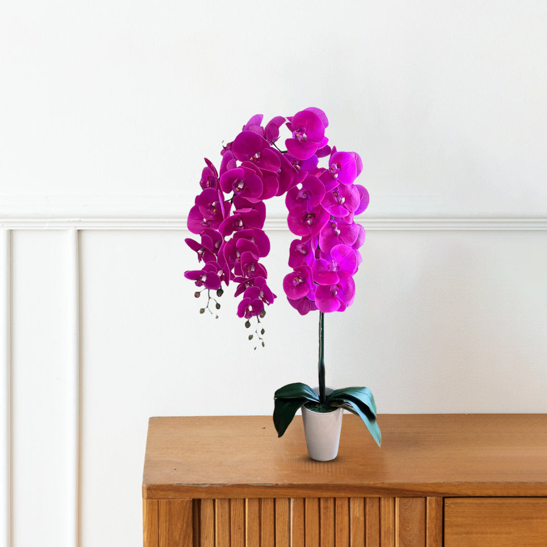 Gorgeous Artificial Orchids in Black Ceramic Legged Pot