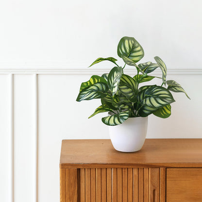 Stunning Peacock Plant in pot of your choice-Artificial-Good Gift