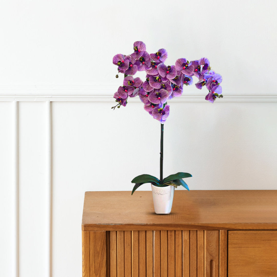 Gorgeous Real-Touch Phalaenopsis Orchid-Artificial (Good Gift)