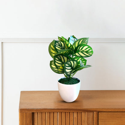 Artificial Plant : 11 Inches Green Potted Succulent-Good Gift