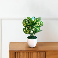 Gorgeous Artificial Peacock Plant – Realistic Tropical Green Foliage