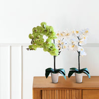 Artificial Stunning Orchids - Perfect Gift