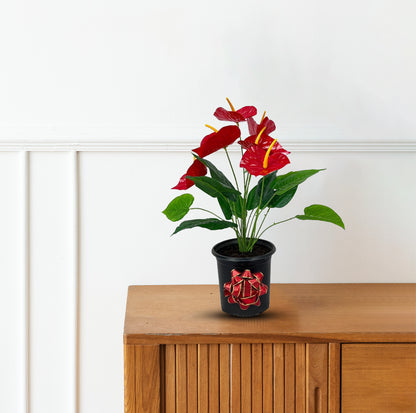 Gorgeous Artificial Anthurium Plant