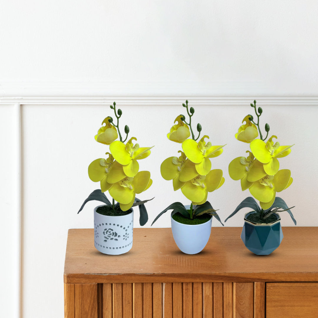 Gorgeous Yellow Mini Orchid In Different Type of Pot - Artificial