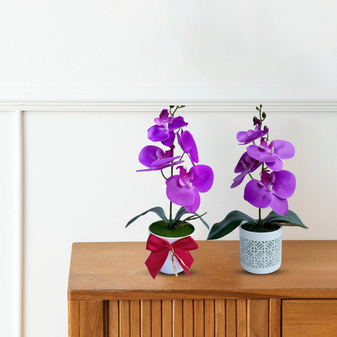 Gorgeous Purple Mini Orchid In Different Type of Pot - Artificial