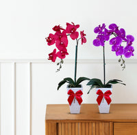 Artificial Stunning Orchid in Tall Ceramic Pot-Good Gift