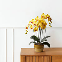 Artificial Plant - Gorgeous Yellow Orchid – Good Gift