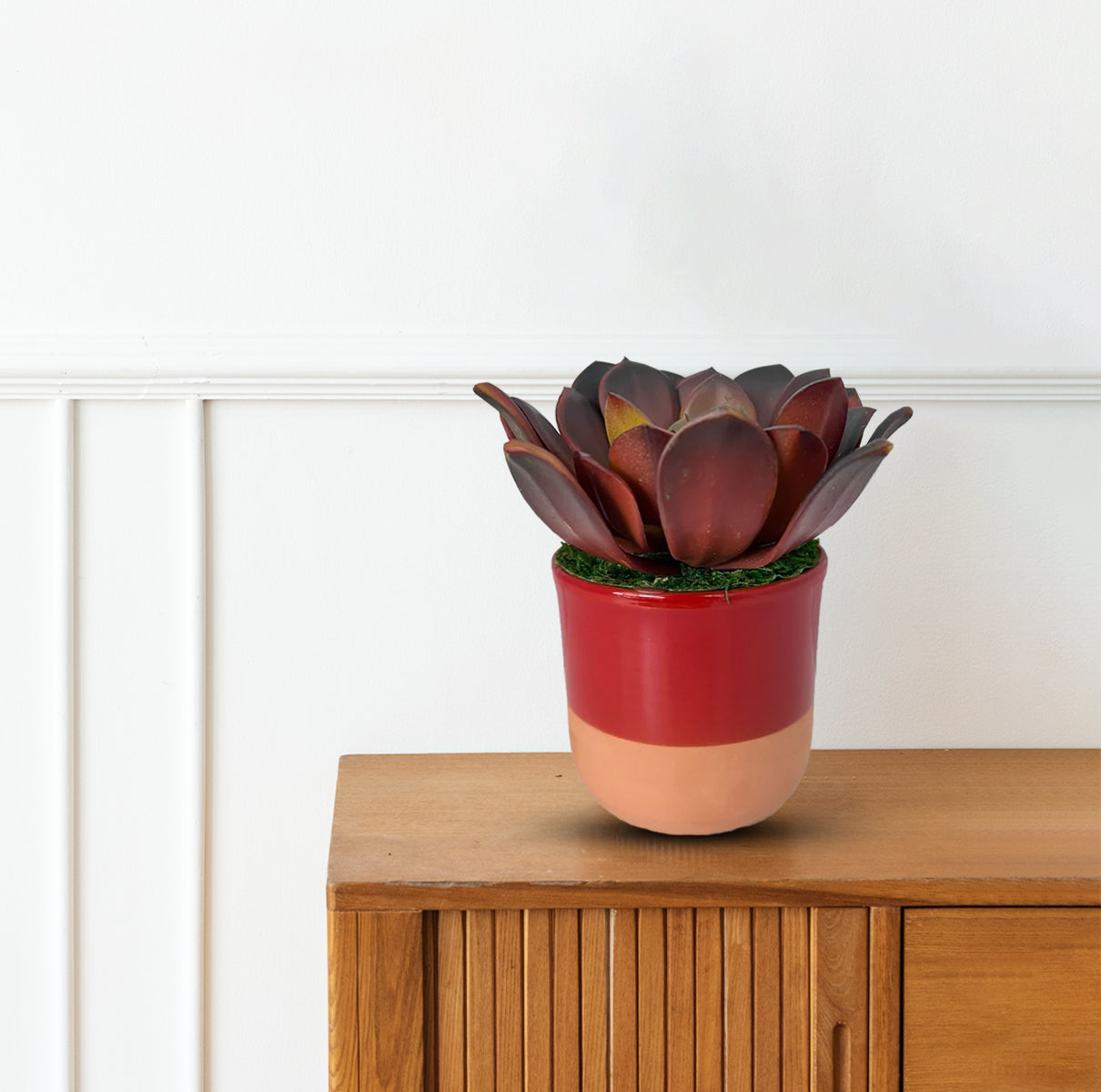 Cute Echeveria Red Succulent in Ceramic Pot - Artificial ~ The Perfect Christmas Gift