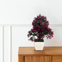 Artificial : Bonsai in Triangular Shape-Good Gift