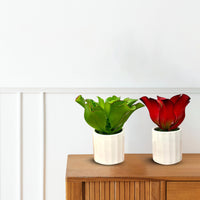 Artificial Stunning Plant with Ceramic Pot-Good Gift
