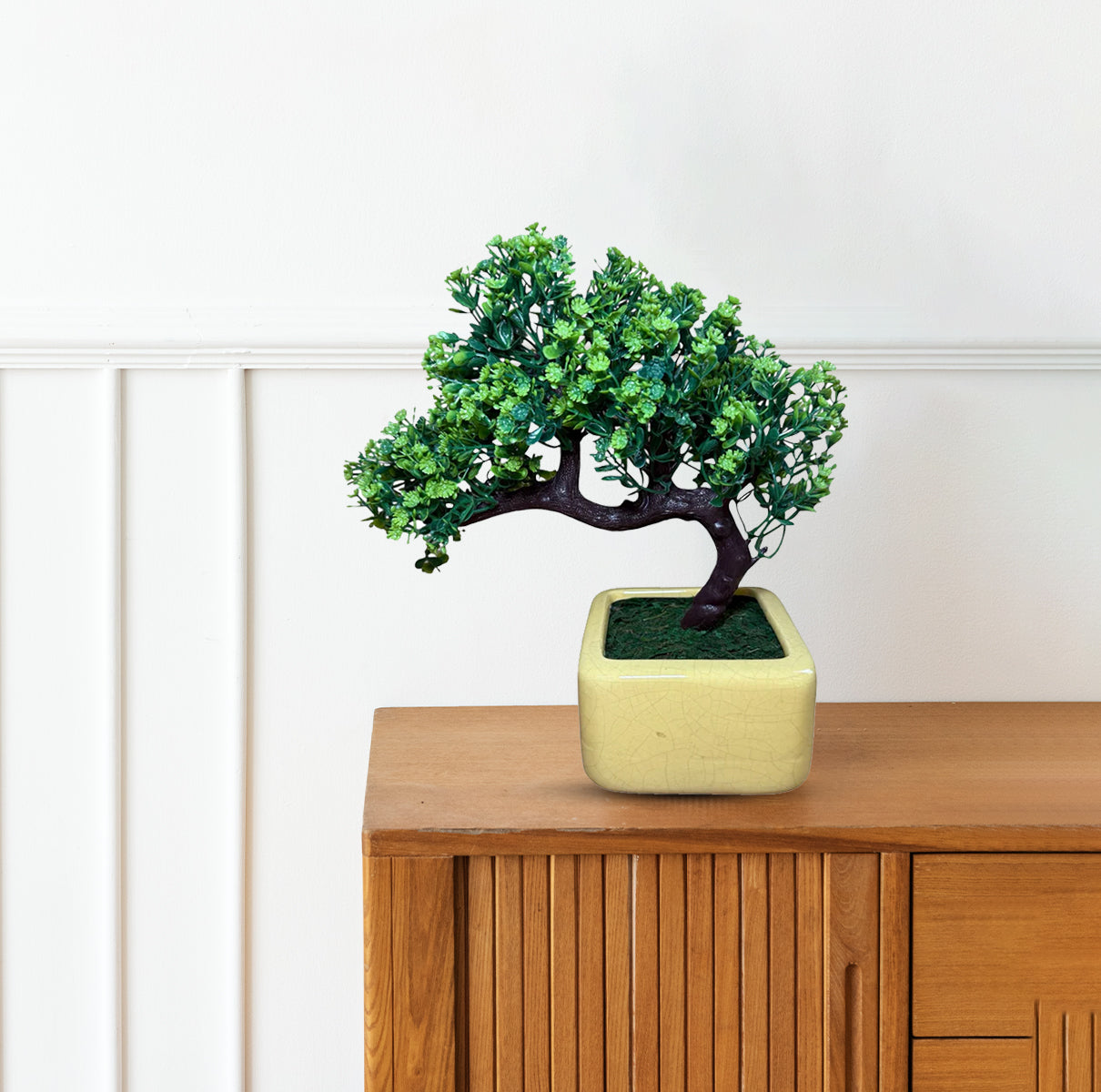 Gorgeous Bonsai with Very Attractive Pot(Good Gift)