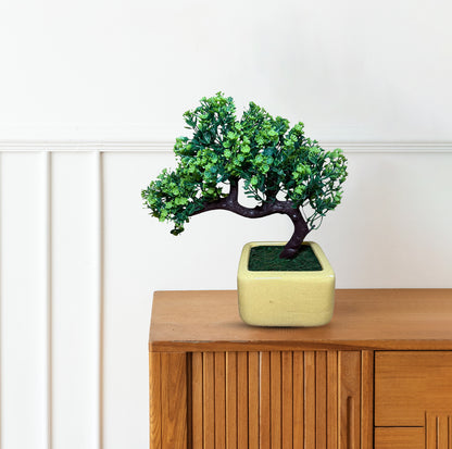 Gorgeous Bonsai with Very Attractive Pot(Good Gift)