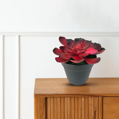 Gorgeous Echeveria in Color of Your Choice - Artificial