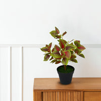 Artificial Gorgeous Leaves in Plastic Pot -Good Gift