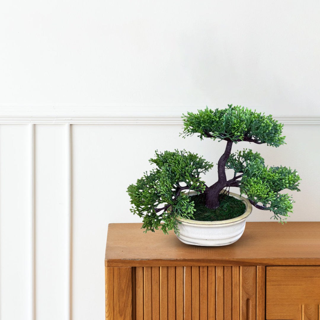 Artificial Bonsai in Ceramic Pot-Good Gift