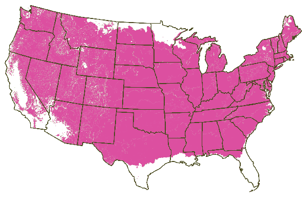 Growing Zones