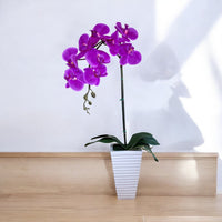 Artificial Stunning Orchid in Tall Ceramic Pot-Good Gift