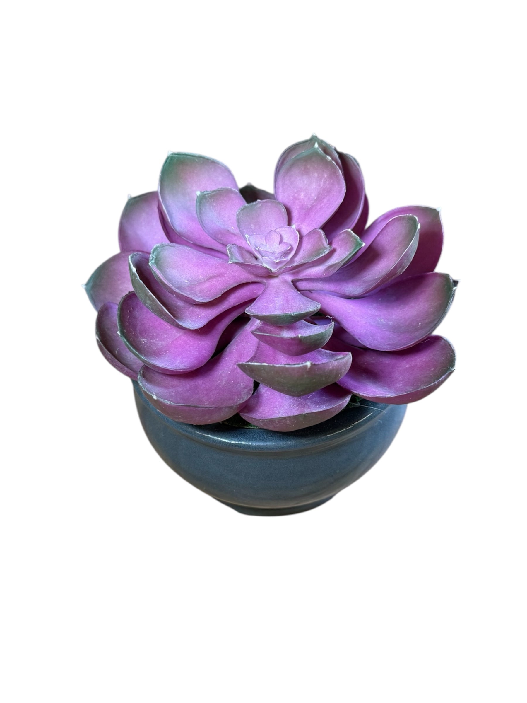 Artificial Echeveria Succulent in Gray Ceramic Pot – Perfect Gift for Home or Office Decor