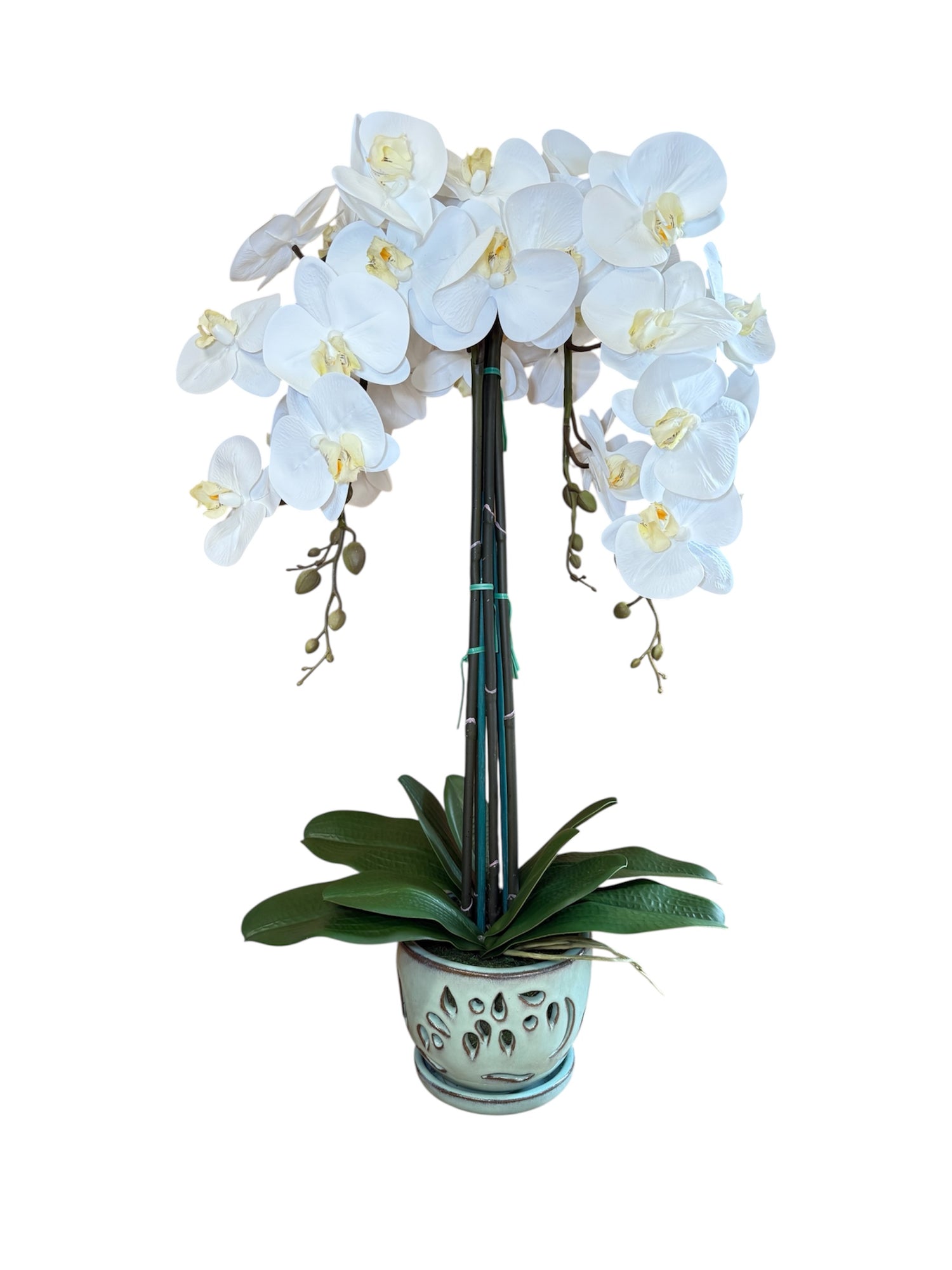 Beautiful White Orchid Arrangement in Ceramic Pot – Perfect Decorative Gift