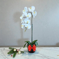 Elegant White Orchid in Black Ceramic Pot – Perfect Gift for Any Occasion