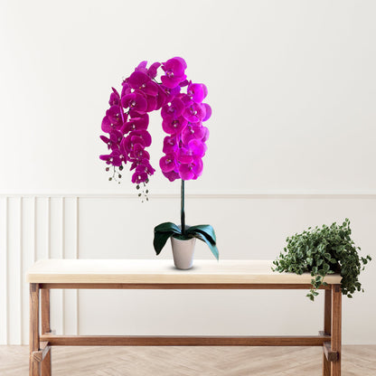 Gorgeous Artificial Orchids in Black Ceramic Legged Pot