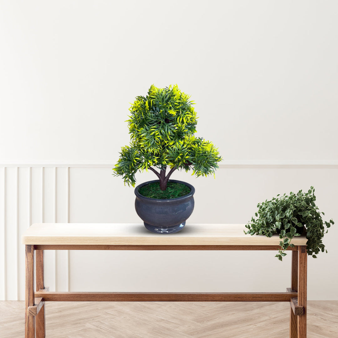 Green and Yellow Bonsai with Pot-Good Gift
