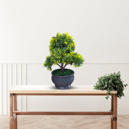 Green and Yellow Bonsai with Pot-Good Gift