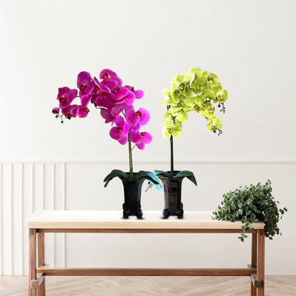 Stunning Orchids in Black Ceramic Legged Pot-Artificial (Perfect Gift)