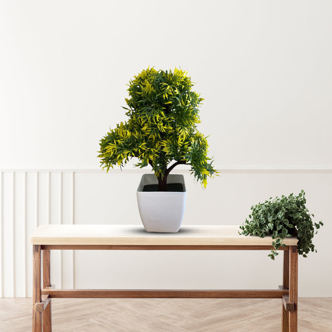 Gorgeous Bonsai with Very Attractive Pot - Green Color (Artificial)  Good Gift