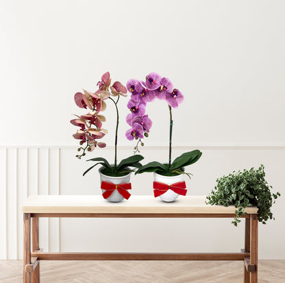 Beautiful Variegated Orchid-Artificial (The Perfect Christmas Gift)