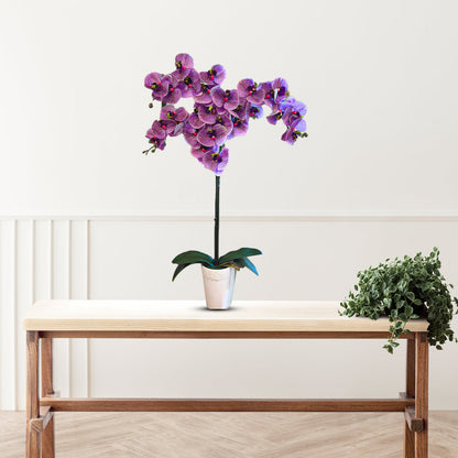 Gorgeous Real-Touch Phalaenopsis Orchid-Artificial (Good Gift)