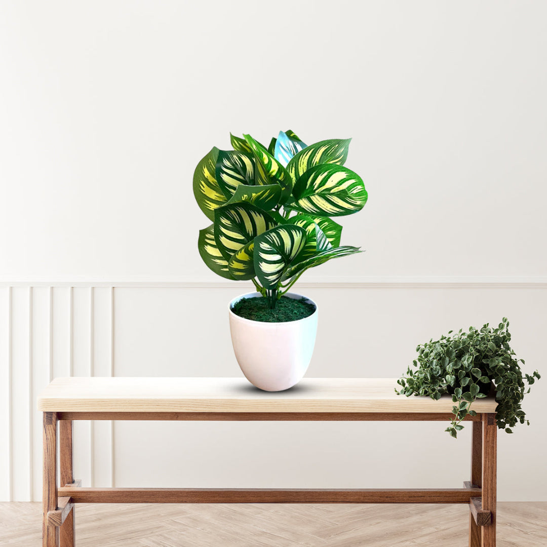 Artificial Plant : 11 Inches Green Potted Succulent-Good Gift