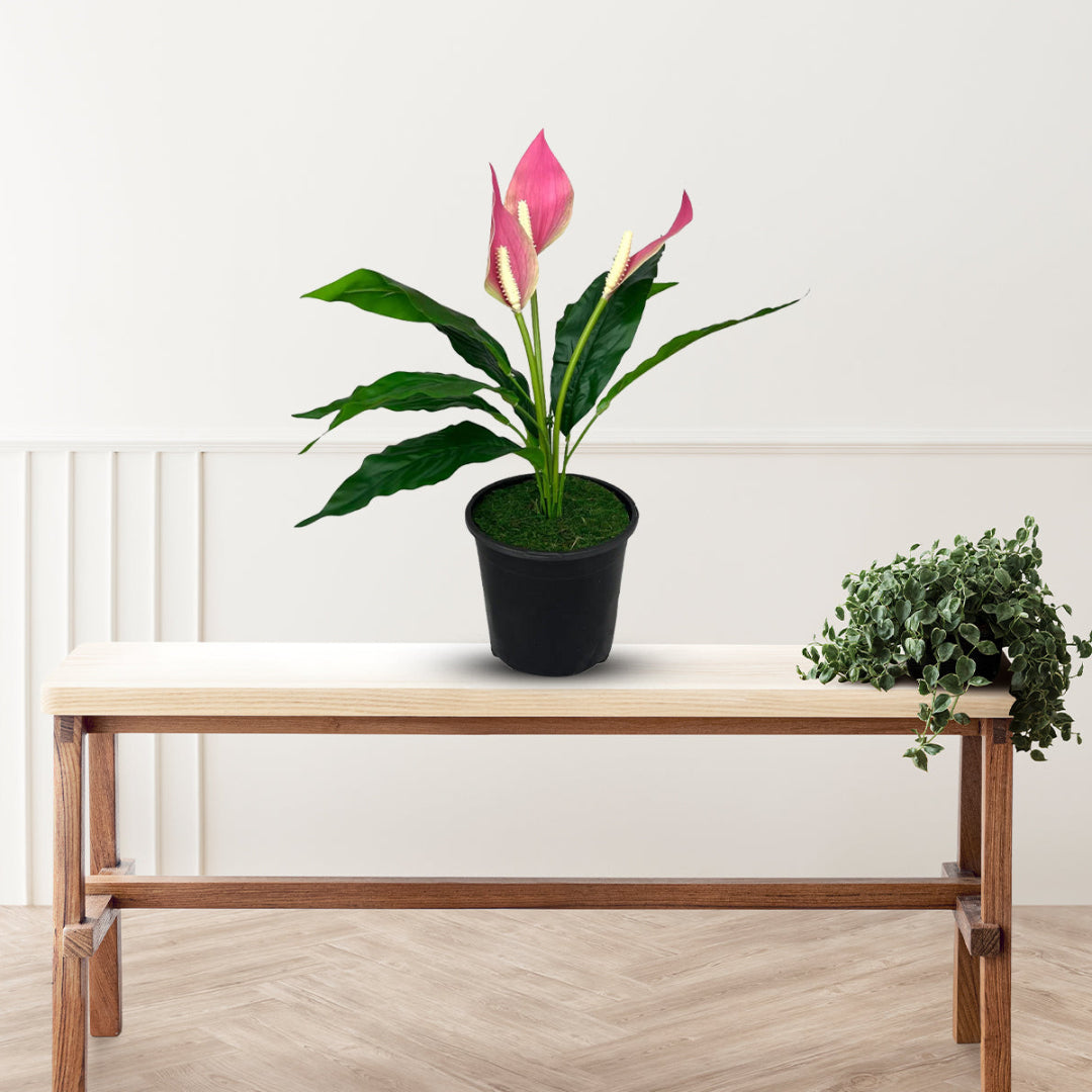 indoor pink lily plant Gorgeous Potted Pink Peace Lily-Artificial