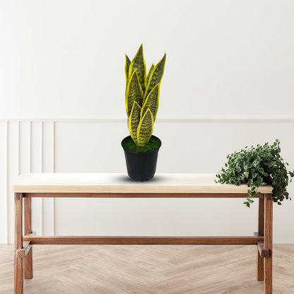 Beautiful Potted Snake Plant-Artificial