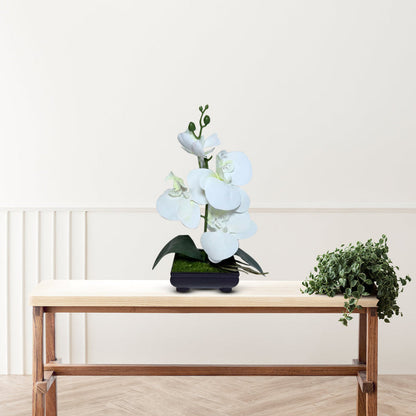 Gorgeous White Mini Orchid In Different Type of Pot - Artificial Plastic Pot