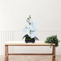 Gorgeous White Mini Orchid In Different Type of Pot - Artificial Plastic Pot