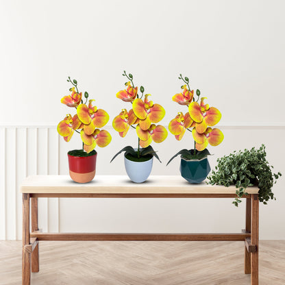 Gorgeous Orange Mini Orchid In Different Type of Pot - Artificial