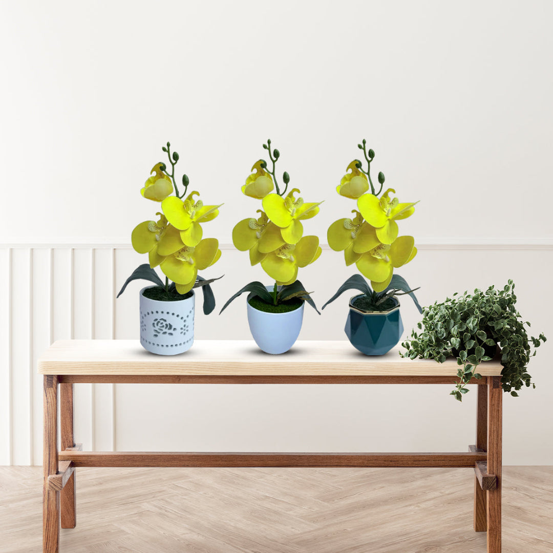 Gorgeous Yellow Mini Orchid In Different Type of Pot - Artificial