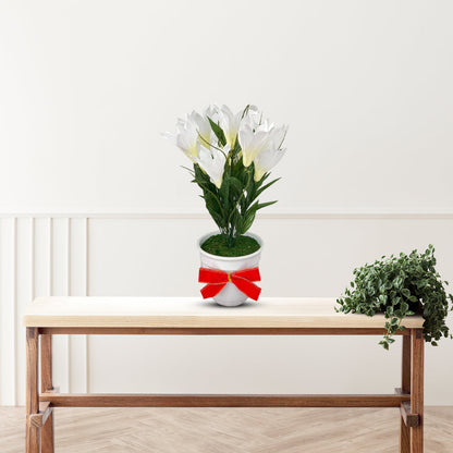 Stunning White Flowers in Ceramic Planter - Artificial-Good Gift