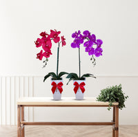 Artificial Stunning Orchid in Tall Ceramic Pot-Good Gift