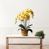 Artificial Plant - Gorgeous Yellow Orchid – Good Gift