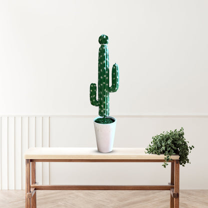 Gorgeous Tall Green Cactus in Ceramic Pot -Good Gift